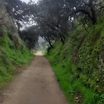 El Refugio *